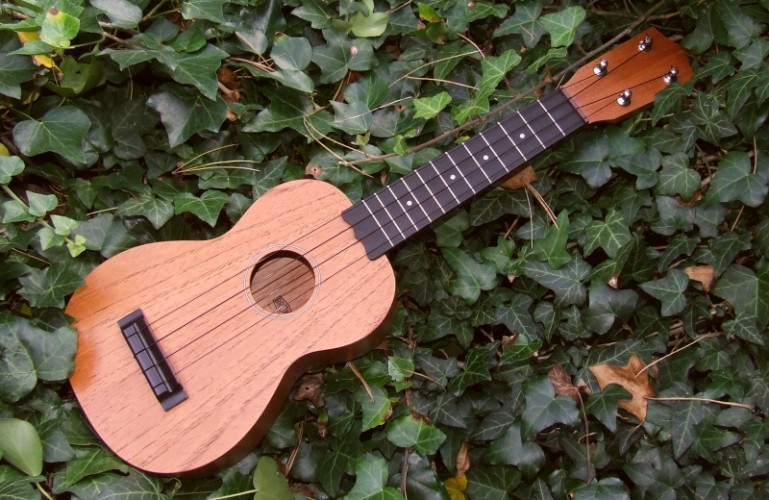 Por que aprender ukulele em 2024?